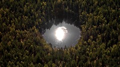 Landscapes nature Trees reflections lithuania Baltic states 