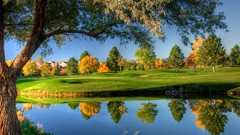 Landscapes nature Trees reflections rivers