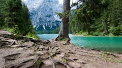 Landscapes nature Trees rivers