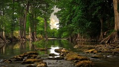 Landscapes nature Trees rivers