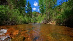 Landscapes nature Trees rivers