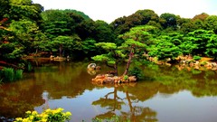 Landscapes nature Trees rivers