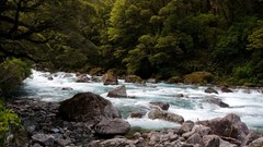 Landscapes nature Trees rivers