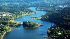 Landscapes nature Trees rivers forests