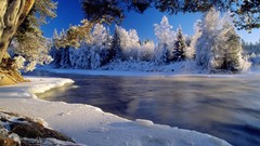 Landscapes nature Trees rivers skyscapes