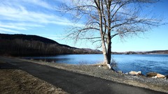 Landscapes nature Trees roads