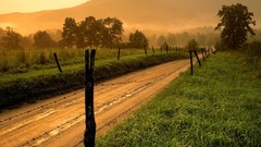 Landscapes nature Trees roads