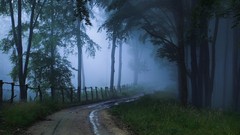 Landscapes nature Trees roads