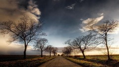 Landscapes nature Trees roads