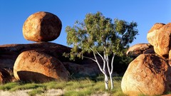 Landscapes nature Trees rocks