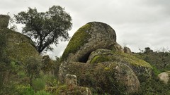 Landscapes nature Trees rocks