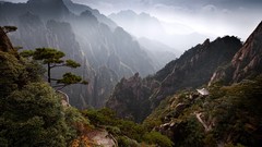 Landscapes nature Trees rocks forests dawning