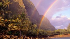 Landscapes nature Trees rocks rainbows