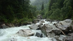 Landscapes nature Trees rocks rivers forests