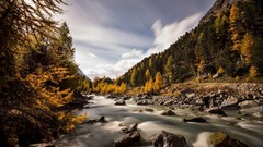 Landscapes nature Trees rocks rivers skies long exposure