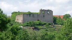 Landscapes nature Trees ruins
