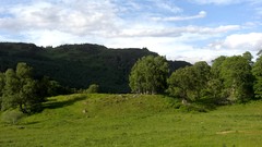 Landscapes nature Trees Scotland fields
