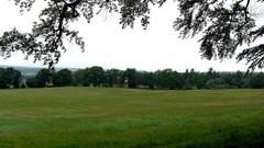 Landscapes nature Trees Scotland fields