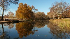 Landscapes nature Trees seasons lakes