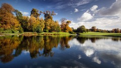 Landscapes nature Trees skyscapes