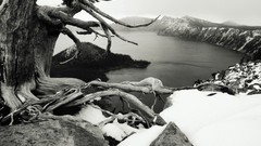 Landscapes nature Trees snow