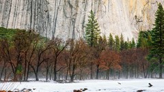 Landscapes nature Trees snow Animals water Mountains cliffs 