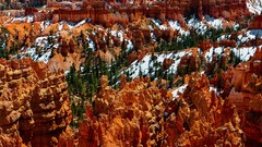 Landscapes nature Trees snow canyon forests bryce canyon