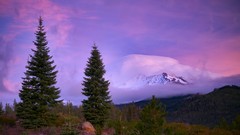 Landscapes nature Trees snow forests skylines