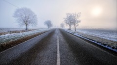 Landscapes nature Trees snow frost