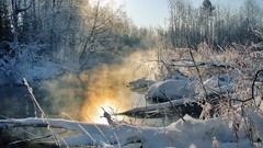 Landscapes nature Trees snow frost lakes
