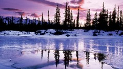 Landscapes nature Trees snow lakes reflections snow landscapes