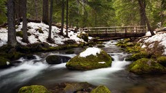 Landscapes nature Trees snow moss Oregon Bridges rocks USA 