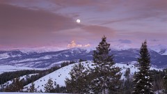 Landscapes nature Trees snow Mountains
