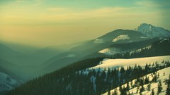 Landscapes nature Trees snow Mountains clouds pine trees