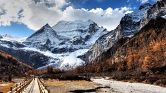 Landscapes nature Trees snow Mountains clouds skies