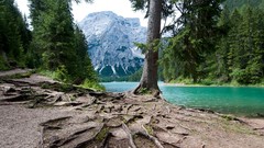 Landscapes nature Trees snow Mountains Italy rivers forests