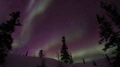 Landscapes nature Trees snow national geographic aurora borealis