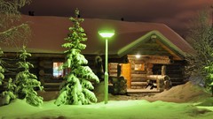 Landscapes nature Trees snow night light houses