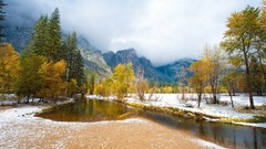 Landscapes nature Trees snow rivers