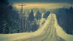 Landscapes nature Trees snow roads telephone pole