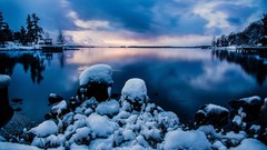 Landscapes nature Trees snow sweden lakes stockholm