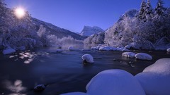 Landscapes nature Trees snow water
