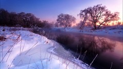 Landscapes nature Trees snow water sun ice rivers