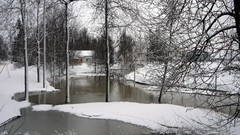 Landscapes nature Trees snow winter