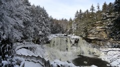 Landscapes nature Trees snow winter