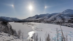 Landscapes nature Trees snow winter