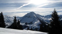 Landscapes nature Trees snow winter