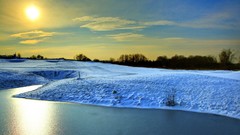 Landscapes nature Trees snow winter