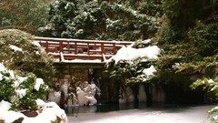 Landscapes nature Trees snow winter