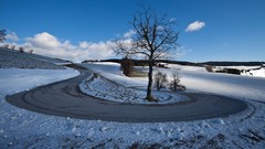 Landscapes nature Trees snow winter